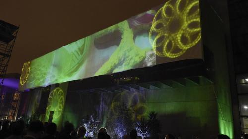 52230798164_b6a919e791_c