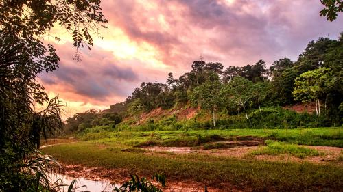 Amanecer Tambopata – Madre de Dios – Arturo Bullard – Peru Otras Miradas