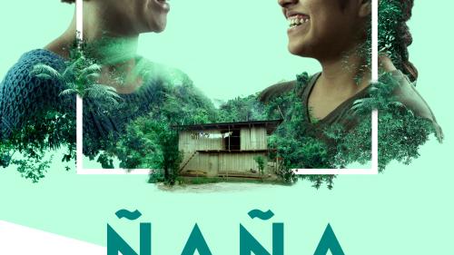 POSTER ÑAÑA FAE Lima