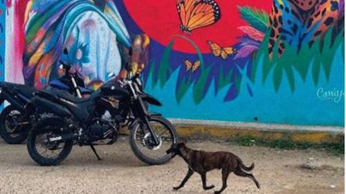 Servicios de información local para personas migrantes