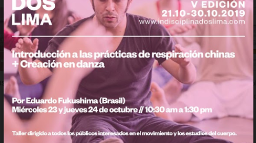 V Festival Internacional INDISCIPLINADOS