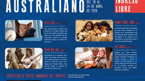 volante completo redes