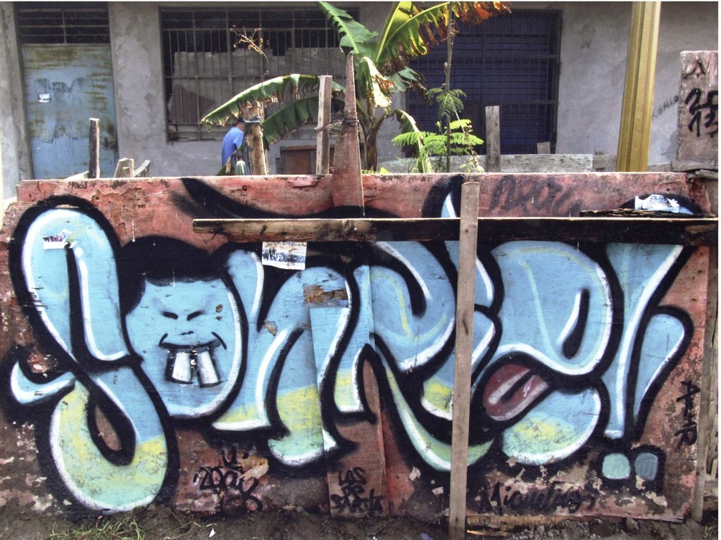 Entorno - Anthony F. Alanoca Anthony Alanoca20140715_15160896