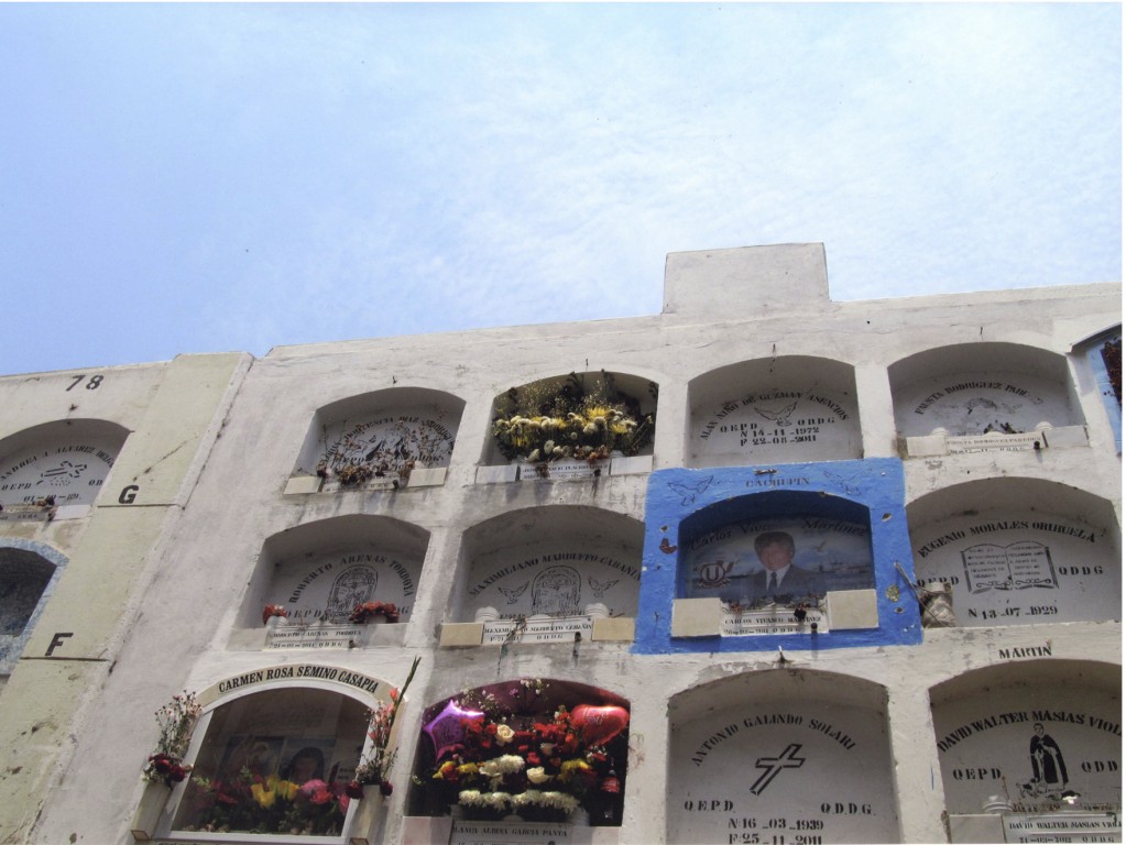 Entorno - Anthony F. Alanoca Anthony Alanoca20140715_15182355