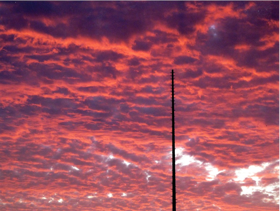 Esperanza - Teresa Mendoza Teresa Mendoza 1 20140715_16122100