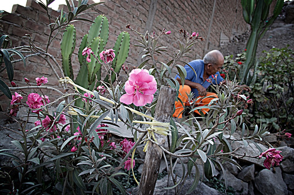 SEMBRANDO-EN-PIEDRA-4