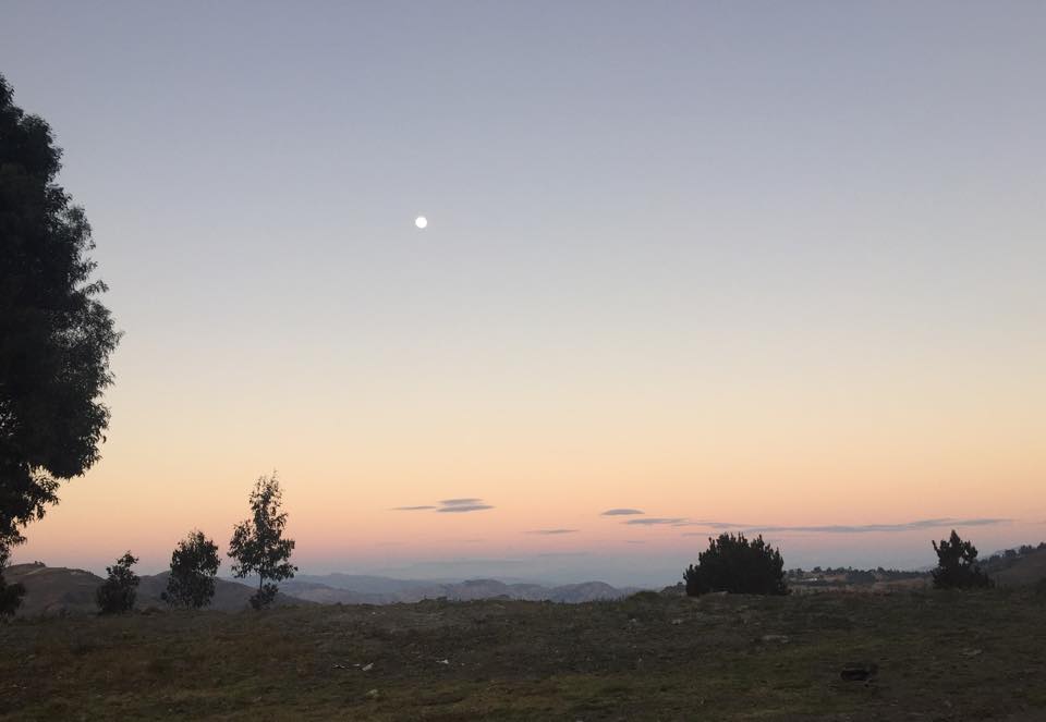 11798313_10153135726510318_817478782_n