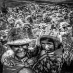 20141204_121847_1_1-2