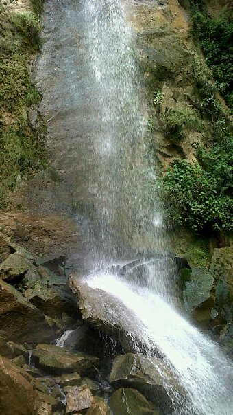 400928_10150482751691035_664082582_n