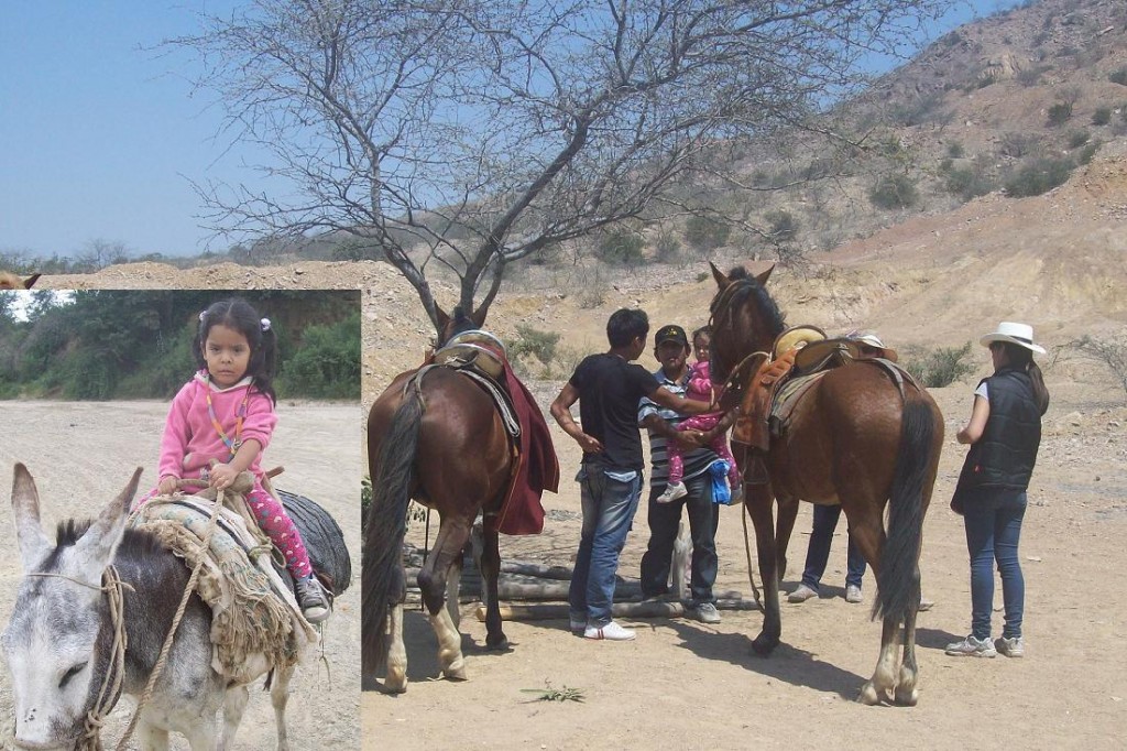 Imágen-de-JPEG-5257423