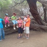 rbol-Milenario-danos-tu-vitalidad