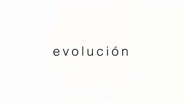 EVOLUCIÓN DE HAROLDO HIGA SE INAUGURARÁ EN LA GALERÍA LUCIA DE LA PUENTE