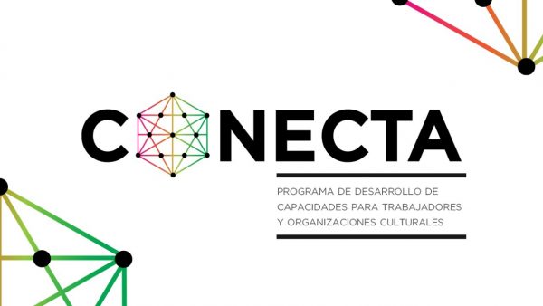 Programa Conecta