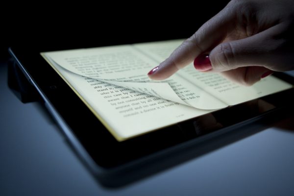 Informe anual del libro digital 2024